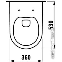 Унитаз подвесной Laufen Pro Rimless 8209660000001 (без сиденья)