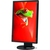 Монитор NEC MultiSync EA241WM-BK Black/Black