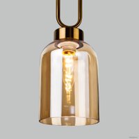 Подвесная люстра Евросвет Flou 50229/1 (янтарный)