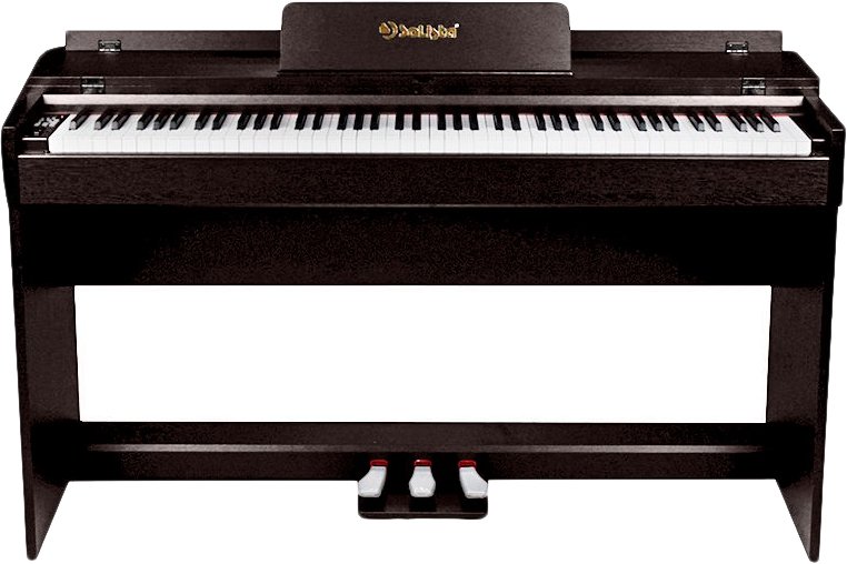 

Цифровое пианино Solista DP600R