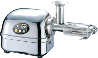Angel Juicer Angelia 8500s