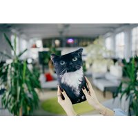 Игрушка-подушка Мальвина Чмоня кот мини