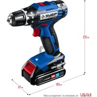 Дрель-шуруповерт Зубр Профессионал DL-201-22 (с 2-мя АКБ 2 Ач, кейс)