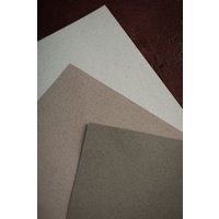 Бумага для сухих техник Невская палитра Мастер-Класс А4 275452645 (20 л, сиена натуральная)