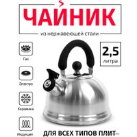 Чайник со свистком TimA WTK160