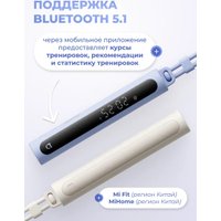 Скакалка Xiaomi Mijia smart rope skipping 2 MJTS02YM (голубой, китайская версия) в Бресте