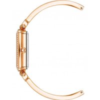 Наручные часы с украшением Anne Klein 3898WTST