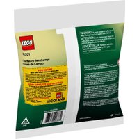 Конструктор LEGO The Botanical Collection 30701 Полевые цветы
