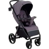 Коляска прогулочная «книга» Rant Basic Alpine 2026 RA450 (темно-серый)