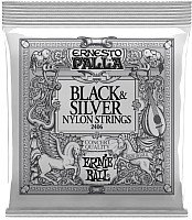 

Струны для гитары Ernie Ball 2406 Palla Nylon Clear Silver