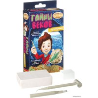 Набор для опытов Bondibon Науки с Буки Кузнечик ВВ2003