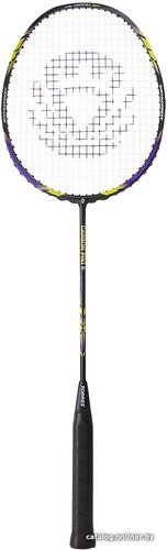 Теннис/бадминтон Torres Carbon Pro6 BD-20521 (фиолетовый)