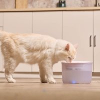 Фонтанчик Petoneer Fresco EzPro WF007