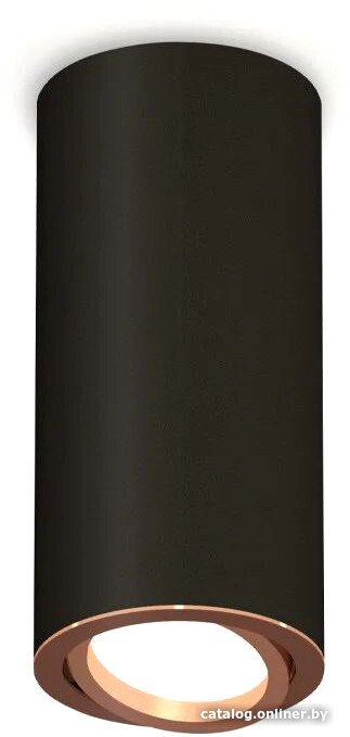 Точечный светильник Ambrella light Techno spot XS7443005 SBK/PPG