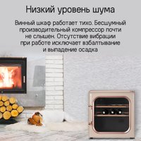 Винный шкаф MAUNFELD MFWC-40SCH14