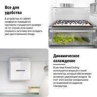 Холодильник Liebherr ICNd 5603 Pure NoFrost