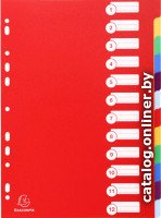 Разделитель документов Exacompta 4912E (ассорти)