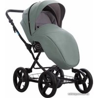 Универсальная коляска AROTEAM Cocoline Prima (2 в 1, 09/рама черная)