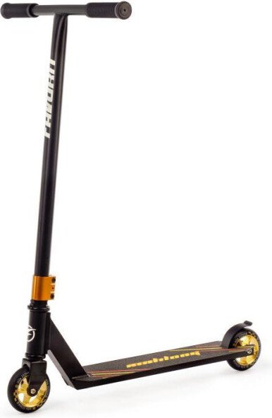 

Трюковый самокат Favorit LS616GN