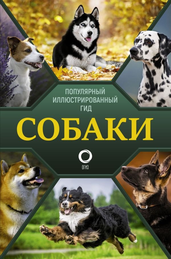 

Книга издательства АСТ. Собаки. Популярный иллюстрированный гид (Барановская И.)