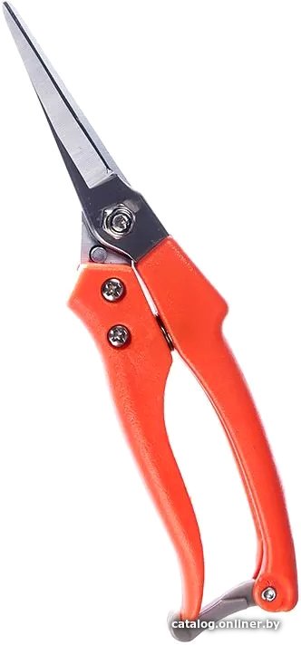 

Секатор Bradas KT-V3P