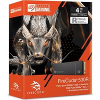 SSD Seagate FireCuda 530R Heatsink 4TB ZP4000GM30073