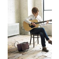 Комбоусилитель Roland AC-33