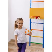 Баскетбольный щит Rokids для шведской стенки 29.5 см