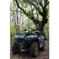 Квадроцикл RM РМ 650-2