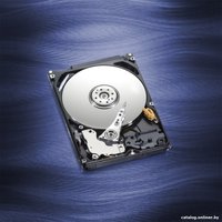 Жесткий диск WD Blue 750GB (WD7500BPVX)