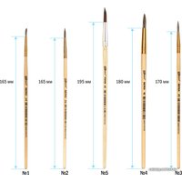 Набор кистей ArtSpace белка № 1, 2, 3, 4, 5 SB1-5_2388 (5 шт)