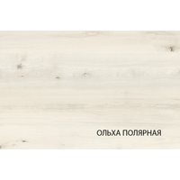 Шкаф распашной Anrex Bjork 4DG3S Z (ольха полярная/оникс)