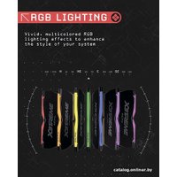 Оперативная память OCPC X3 RGB Black Label 2x8ГБ DDR4 4000 МГц MMX3A2K16GD440C19BL в Орше