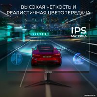 Игровой монитор Hartens HTM24Z165 в Мозыре