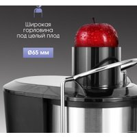 Соковыжималка Zigmund & Shtain EJ-757