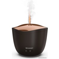 Увлажнитель воздуха Sharp DF-A1E-T