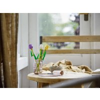 Конструктор LEGO Creator Expert 40461 Тюльпаны