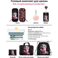 Школьный рюкзак SkyName set-R1-077