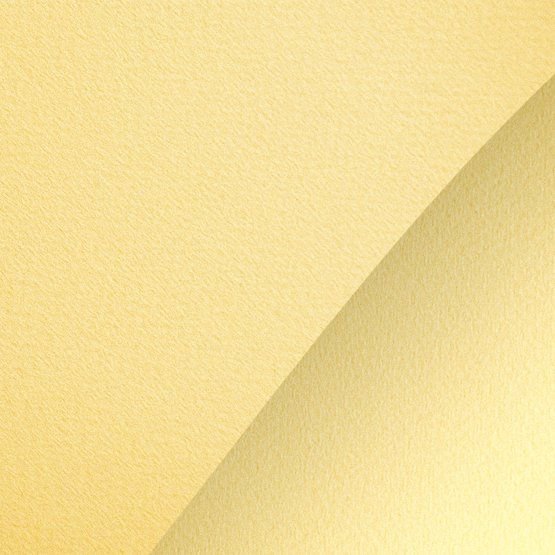 

Бумага для сухих техник Невская палитра Мастер-Класс А4 275452442 (20 л, банановый)