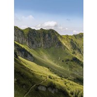 Картина Stamprint Свежесть NT035 (70x50)