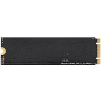 SSD ExeGate Next Pro+ 256GB EX282321RUS