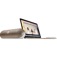 Ноутбук Apple MacBook (2015 год) [MK4M2]