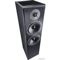 Напольная акустика Magnat Monitor S80 ATM (черный)