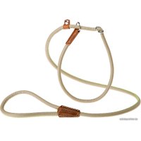 Ошейник с поводком Ferplast Derby GC10/160 75383503 (фиолетовый)