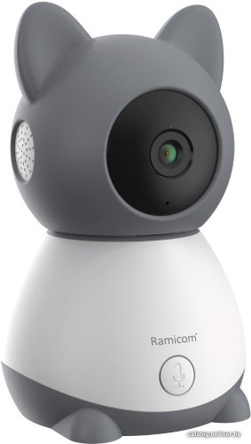 Дополнительная камера Ramicom VRC300C