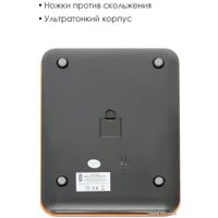 Кухонные весы Atlanta ATH-6197