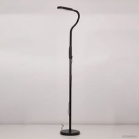 Торшер Citilux Марк CL804021