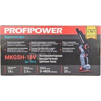 Аккумуляторная пила Profipower MKGSH-18V (с 2-мя АКБ)