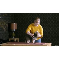 Машинка для стрижки  Moser 1406-0076