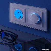 Светорегулятор (диммер) Werkel W1142101 a051137